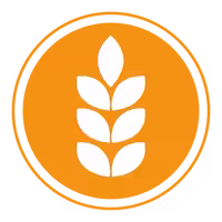 Gluten (cereales que lo contienen)