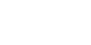Tinta Castiza